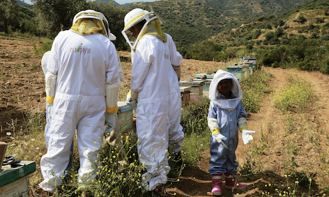 Be A Beekeeper for A Day