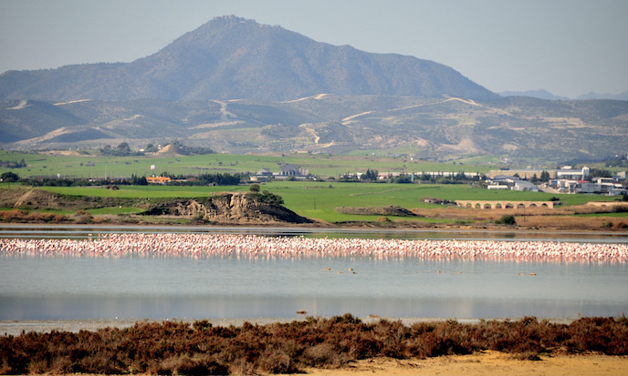 Larnaka Salt Lake