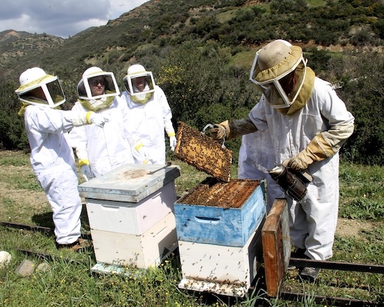 Rural Larnaka Honey Villages