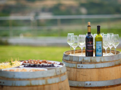 Wine Tasting / Spirit Workshops