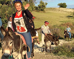 Donkey Riding & Harvests