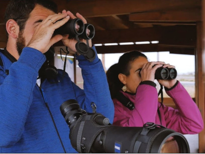 Birdwatching Oasis