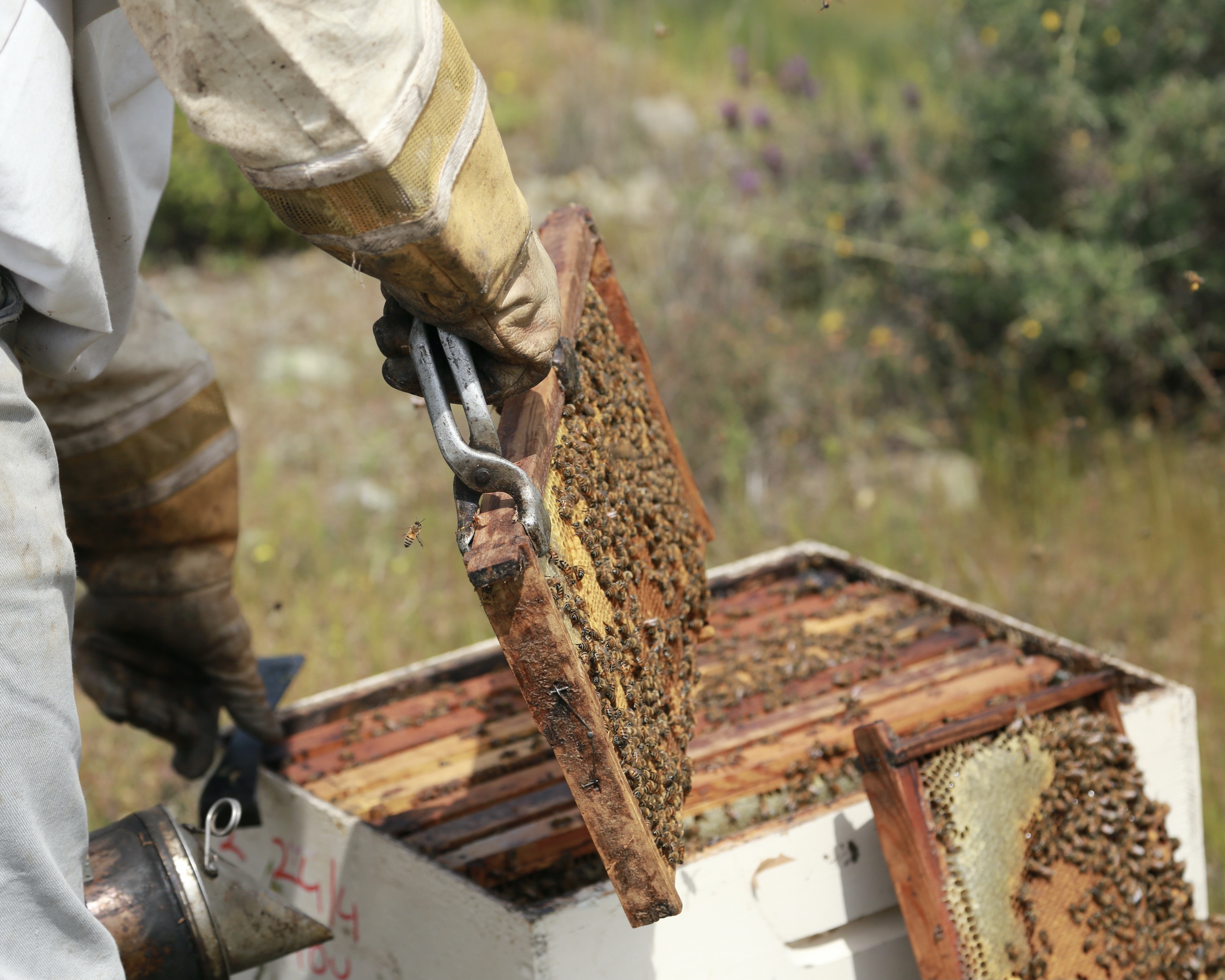 Rural Larnaka Honey Villages